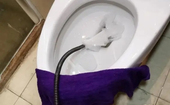 总口管理区马桶疏通